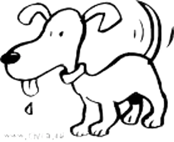 hundehalterverordnung